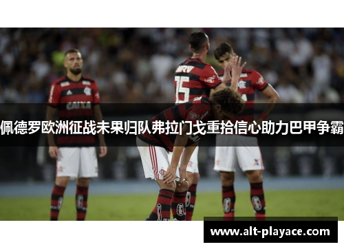佩德罗欧洲征战未果归队弗拉门戈重拾信心助力巴甲争霸 佩德罗欧洲征战未果归队弗拉门戈重拾信心助力巴甲争霸